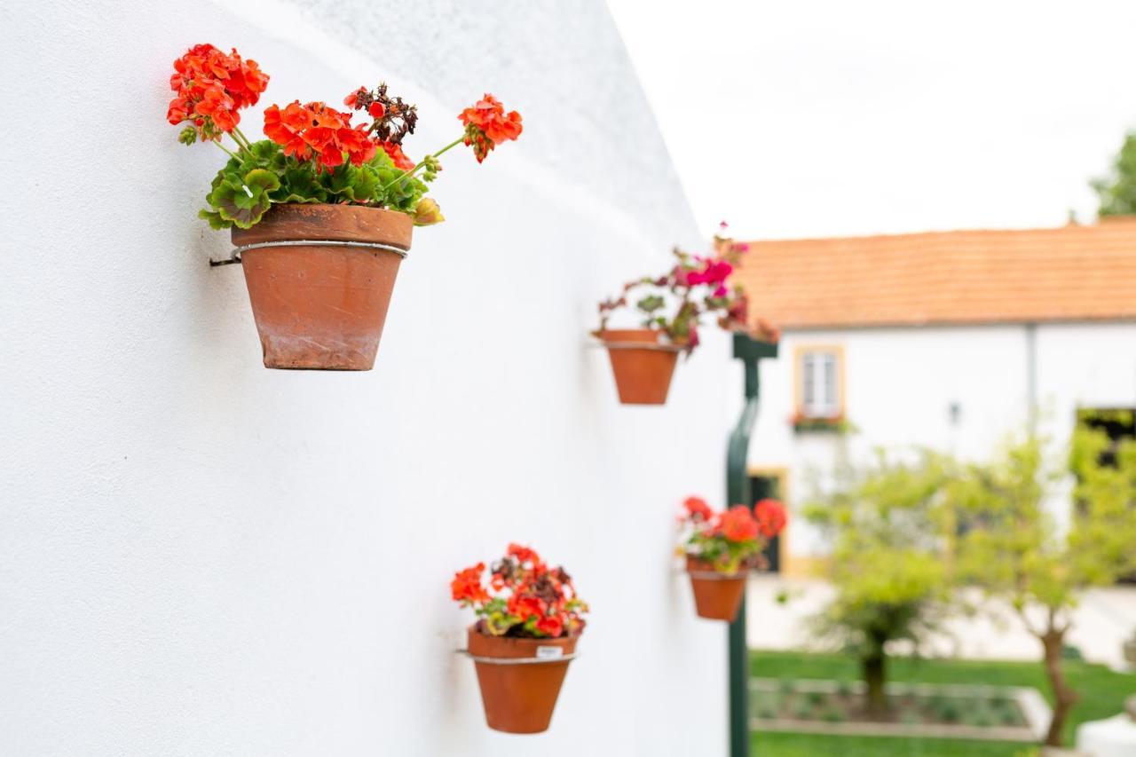Casa D'Oliveira Bed & Breakfast Авиеро Екстериор снимка